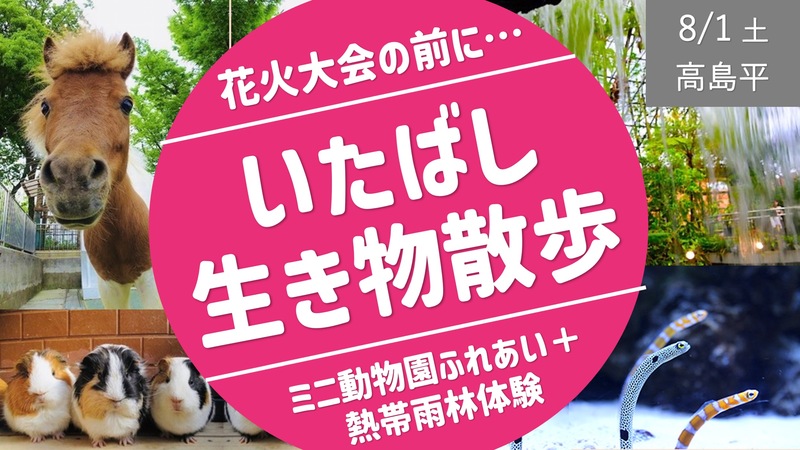 [高島平] いたばし生き物散歩 〜ミニ動物園でのふれあい＆熱帯雨林の動植物体験〜