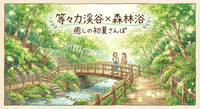 【人気エリア】等々力渓谷で森林浴&癒しの初夏さんぽ☀️