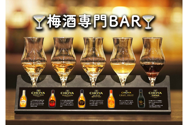 【35歳〜40代】銀座🍸梅酒専門BAR
