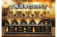 【35歳〜40代】銀座🍸梅酒専門BAR