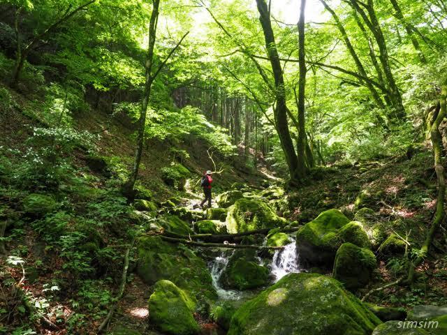 御岳山・ロックガーデンでお気楽渓谷ハイキング🏞初心者オススメコース🔰