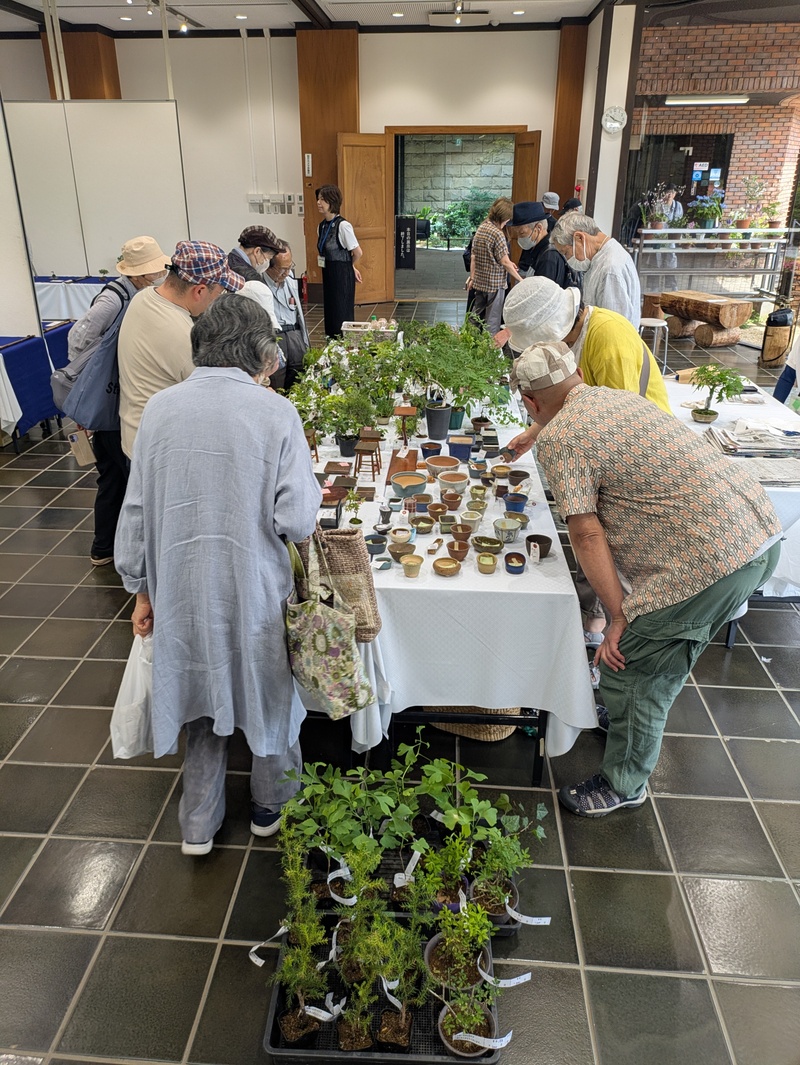 初秋の小品盆栽展示会 神代植物公園