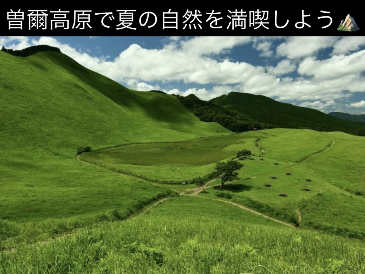 【関西屈指の絶景！】曽爾高原で夏の自然を満喫しよう⛰️   29歳以下限定(一部除く)
