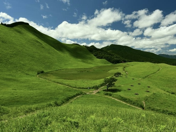 【関西屈指の絶景！】曽爾高原で夏の自然を満喫しよう⛰️   29歳以下限定(一部除く)