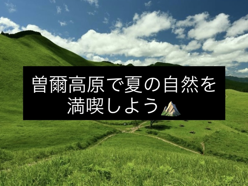 【関西屈指の絶景！】曽爾高原で夏の自然を満喫しよう⛰️   29歳以下限定(一部除く)
