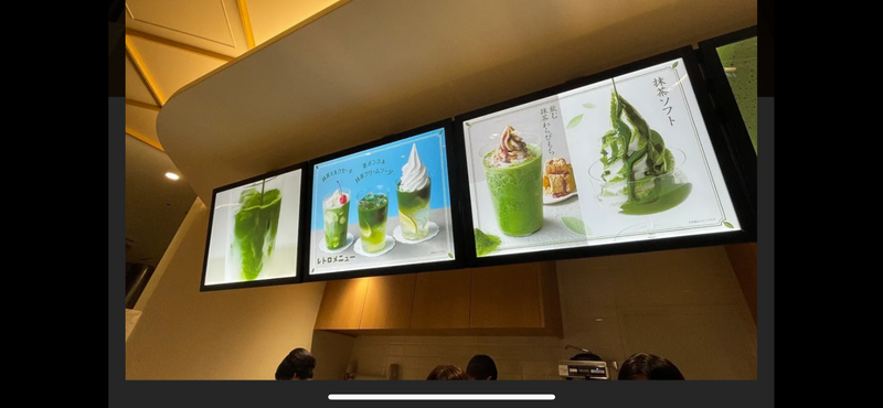 【新橋おーいお茶博物館】日本茶の魅力を体験できます🍵✨