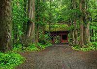【シルバーウィーク小旅行】長野・善光寺＆戸隠神社を巡るご利益トリップ⛩️1泊2日で心満たされる非日常体験