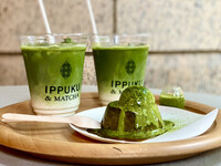 🍵 テラス席で本格宇治抹茶を味わう♪「IPPUKU&MATCHA 日本橋店」カフェ会