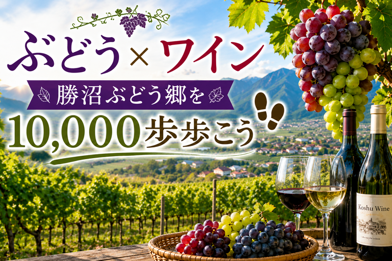 9/12🍇【勝沼ぶどう郷を1万歩歩こう！】ぶどう×ワインを楽しむ秋の日帰り旅🍷