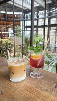【7/19（日）渋谷区ふれあい植物センター☀️】朝活カフェ交流会！20-30代・女性主催・初参加歓迎🌴✨️