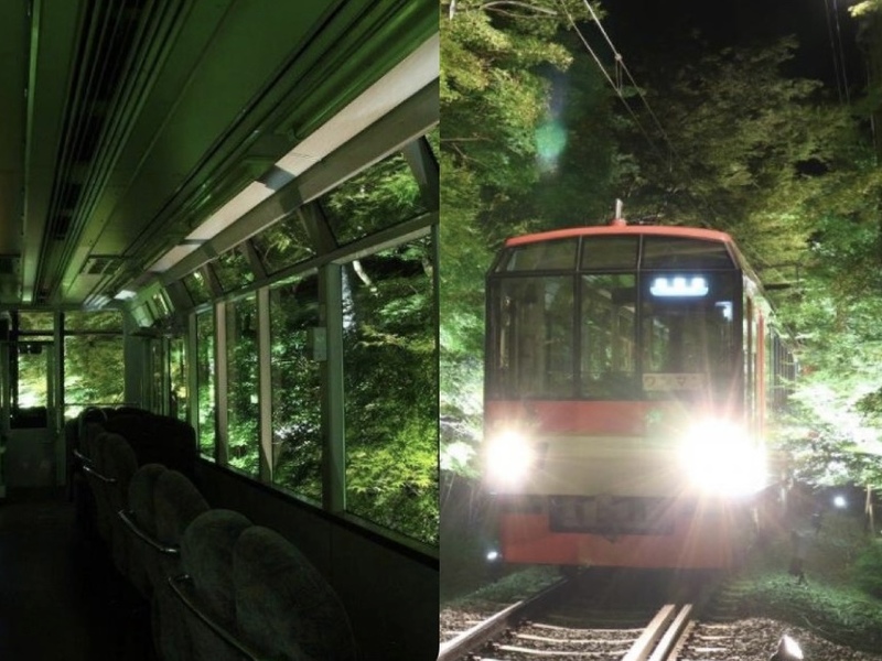 【夏限定の絶景🍃✨】叡山電鉄に乗って幻想的な青もみじライトアップを見に行こう！🚃   29歳以下限定(一部除く)