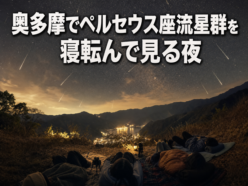 【今夜だけの願いごと】奥多摩でペルセウス座流星群を寝転んで見る夜🌠