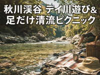 秋川渓谷 デイ川遊び&足だけ清流ピクニック