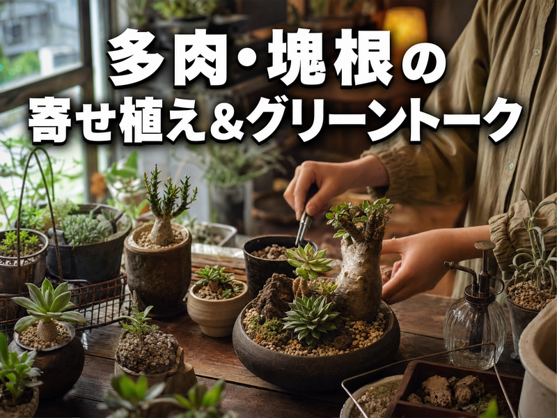 多肉・塊根の寄せ植え&グリーントーク