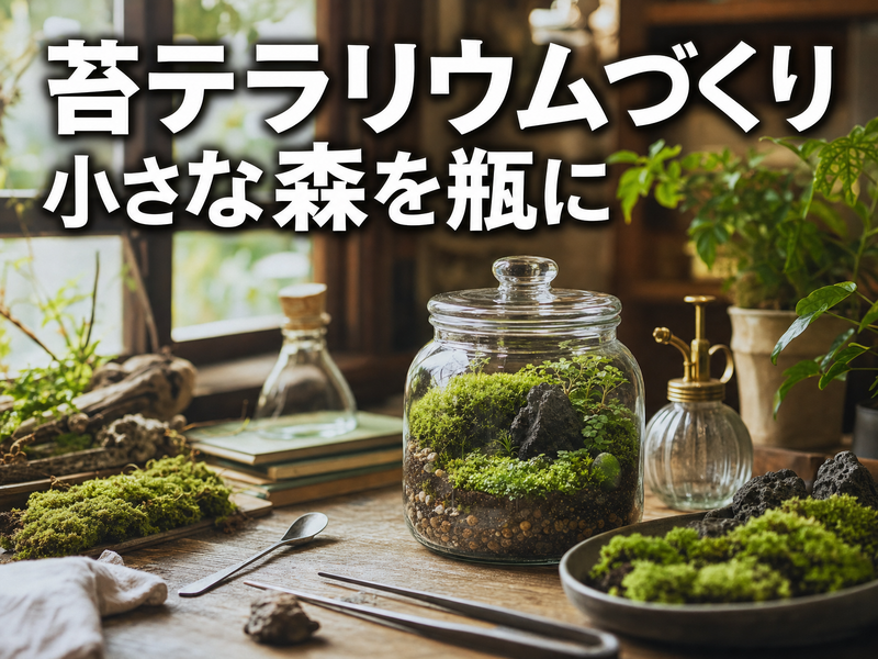苔テラリウムづくり 小さな森を瓶に