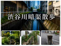 【夏の街歩き】地図から消えた渋谷川をたどる ～ブラタモリ気分で歩く暗渠散歩～