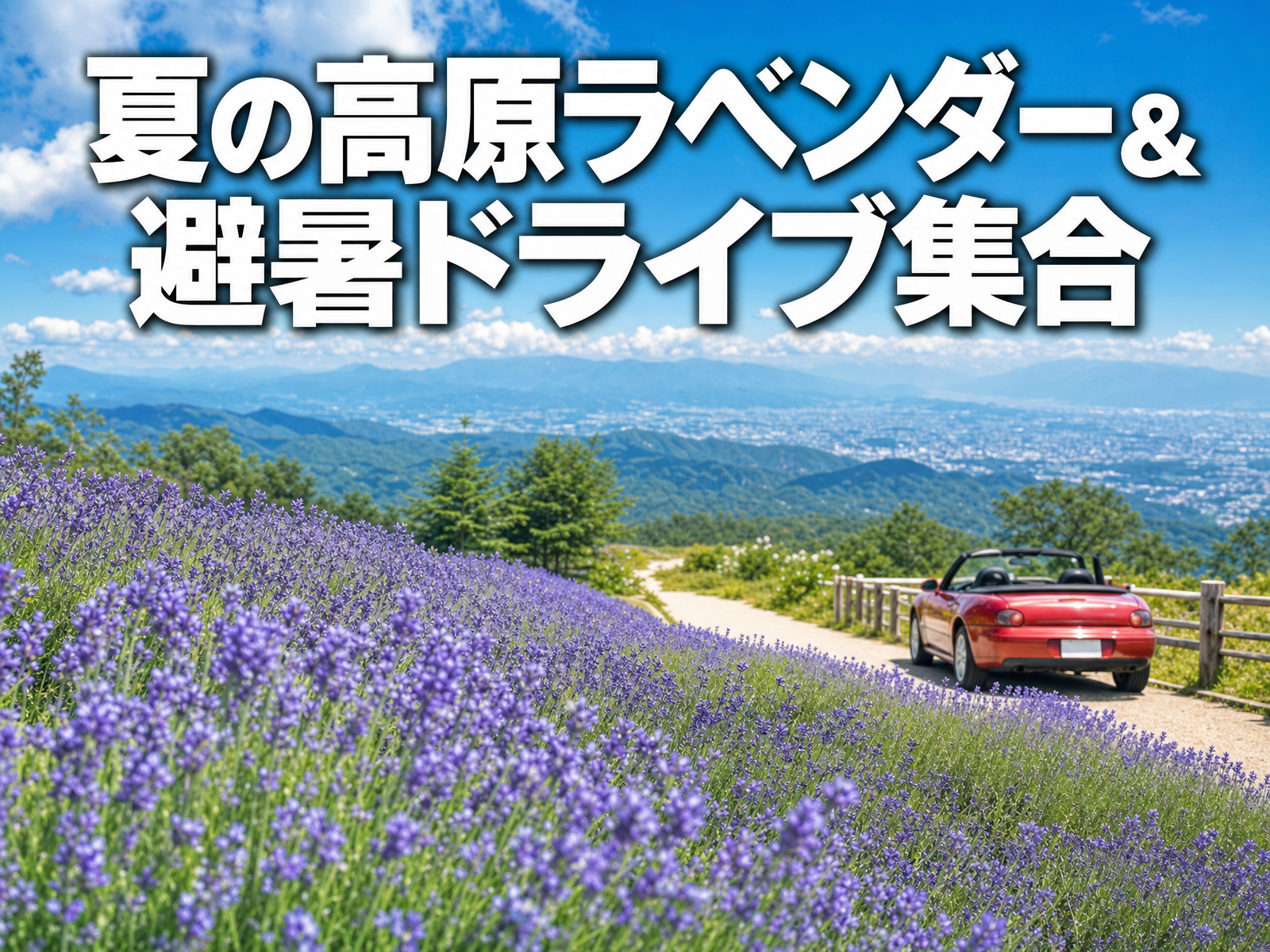 夏の高原ラベンダー&避暑ドライブ集合