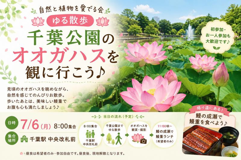 🪷ゆる散歩🪷 千葉公園のオオガハスを観に行こう♪