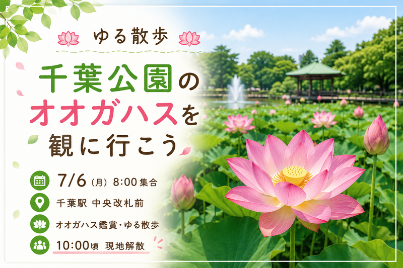 🪷ゆる散歩🪷 千葉公園のオオガハスを観に行こう♪
