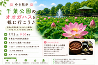 7/12(日)朝9時半〜🪷ゆる散歩🪷 千葉公園のオオガハスを観に行こう＆ひつまぶし店でランチ♪