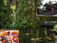 【手軽に夏を楽しもう！】7/20 11時　東久留米　落合川いこいの水辺～南沢氷川神社！【参加費還元！】