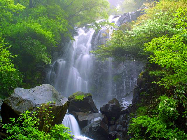 自然、登山好き集合！夏に箱根で涼しく、スカッと滝企画！アフターはランチビュッフェで、栄養バランスと冷たいデザート🍰