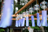 【風鈴🎐】水無瀬神宮で幸せを聴く！
