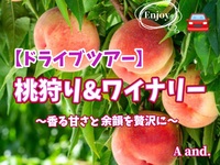 【香る甘さと余韻を贅沢に！桃狩り&ワイナリー巡り★ドライブツアー】