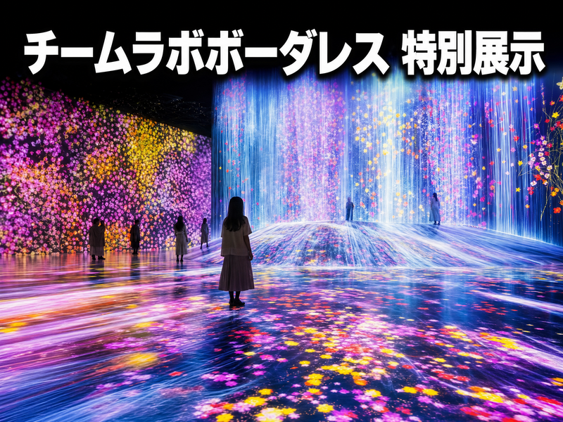 チームラボボーダレス 特別展示 みんなで体験
