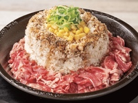 【女性2名主催/早割中】秋葉原にあるペッパーライス専門店🐣🐣🍖🌱🏠に行こう✨✨20代30代限定