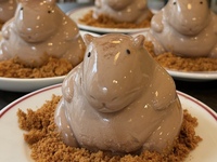 【SNSで話題📸】かわいすぎるカピバラプリンを食べに行こう！☕🦫　29歳以下限定(一部除く)
