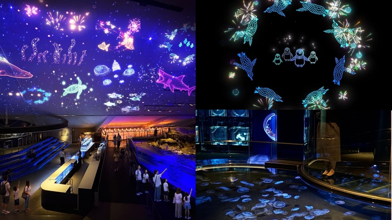 すみだ水族館の昼と夜で異なるプロジェクションマッピングを観に行こう！