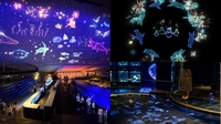 すみだ水族館の昼と夜で異なるプロジェクションマッピングを観に行こう！
