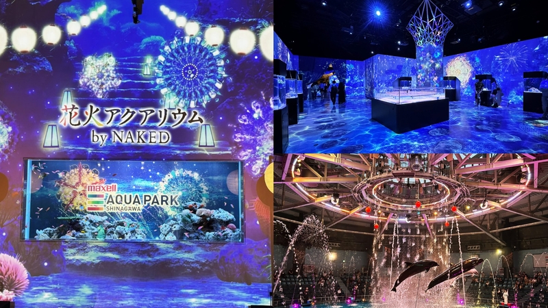 アクアパーク品川水族館の夏限定！海の世界の花火祭りを見に行こう！