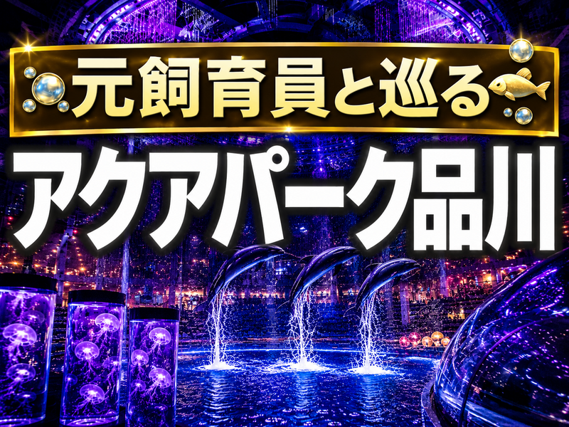 【🔰初参加大歓迎】アクアパーク品川に行こう！