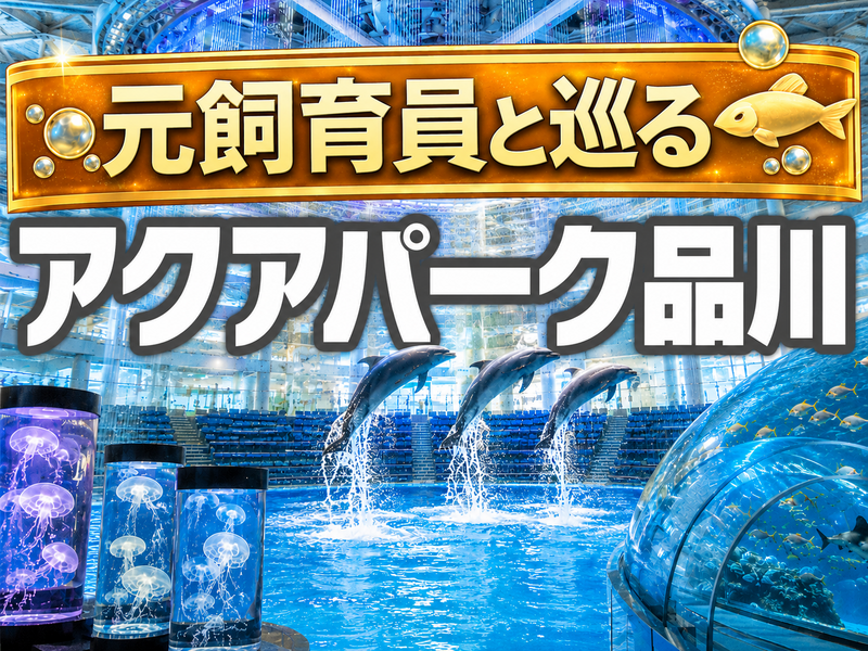 【🔰初参加大歓迎】アクアパーク品川に行こう！