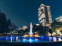 予定　　　日比谷公園・皇居あたりをランニング