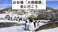【お台場】大南極展を見にいこう。日本科学未来館で涼みましょう。8月1日(日)