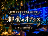 👫 男女主催【🫧アクアリウムレストランで過ごす夏の夜🐠🌙】in 新宿ライム 💎