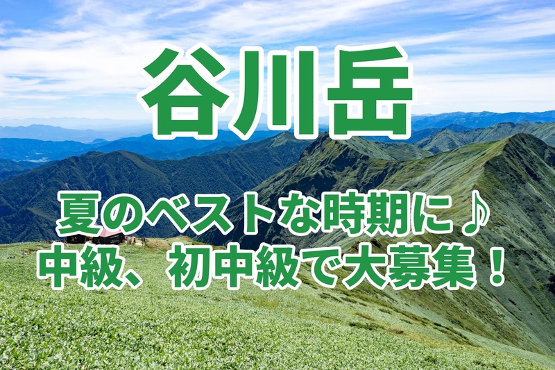 【中級、初中級者向け】8人で、夏のベストな時期に、谷川岳トレッキング♪☘️