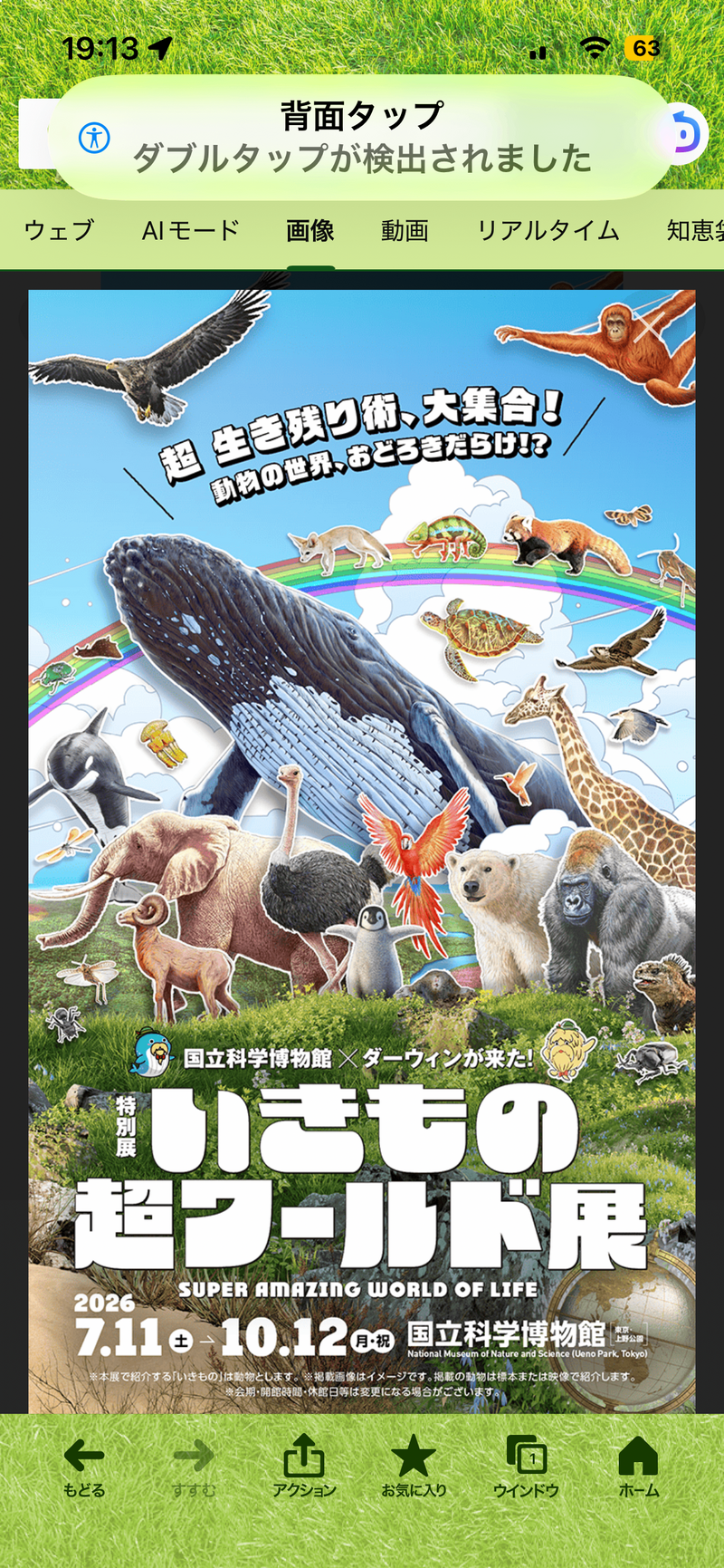 【上野国立科学博物館いきもの超ワールド展🐻🐒特別展✨