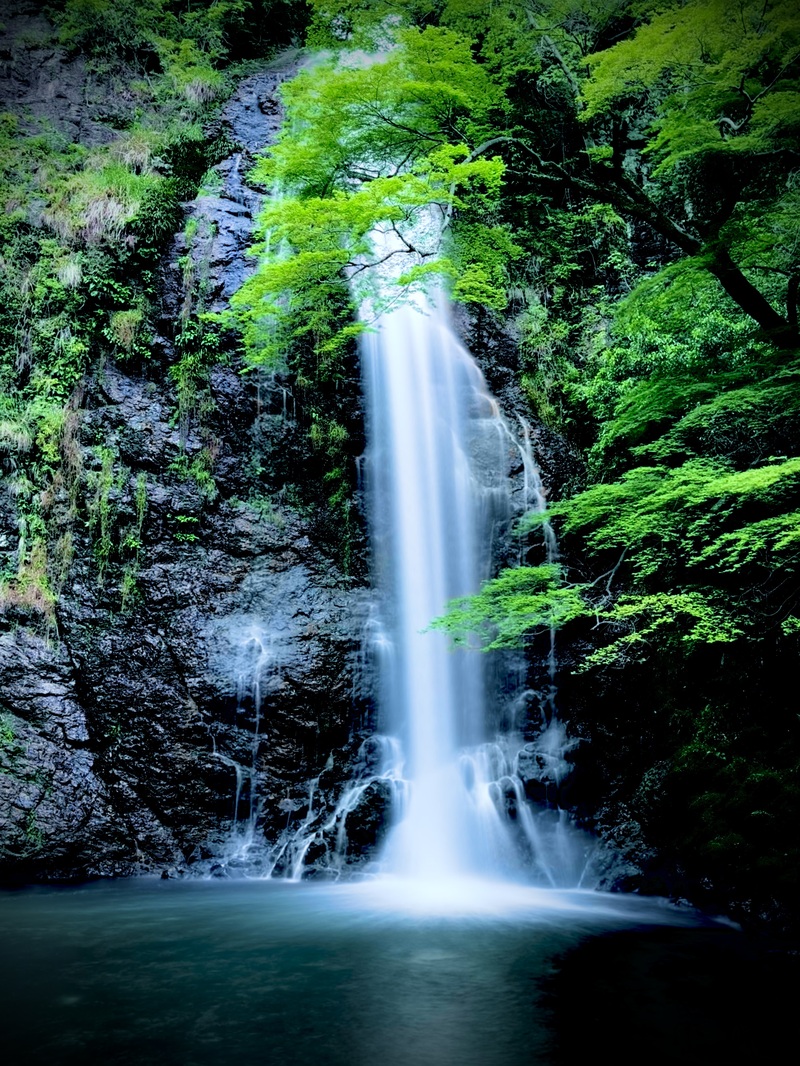 箕面の滝夕涼みハイキング🏞️
20代限定！気軽に新しい仲間とのんびり山歩き体験🍃