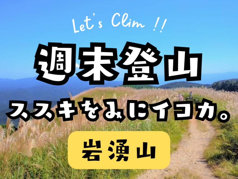 頂上に広がるススキの景色を見にいこう！季節を感じるハイク in 岩湧山