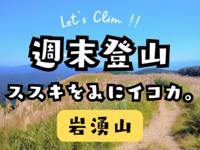 頂上に広がるススキの景色を見にいこう！季節を感じるハイク in 岩湧山