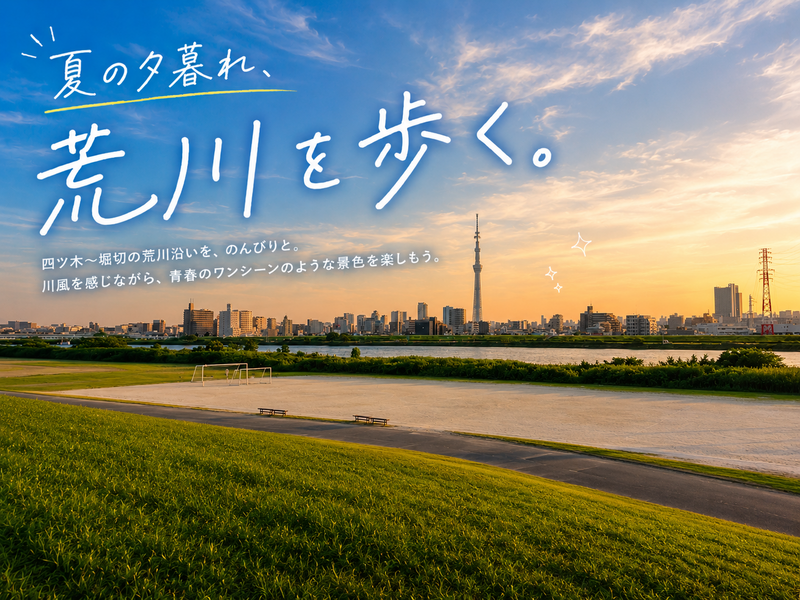 夏の夕暮れ、荒川の土手を歩いてみよう✨四ツ木→堀切の土手を歩きます。
