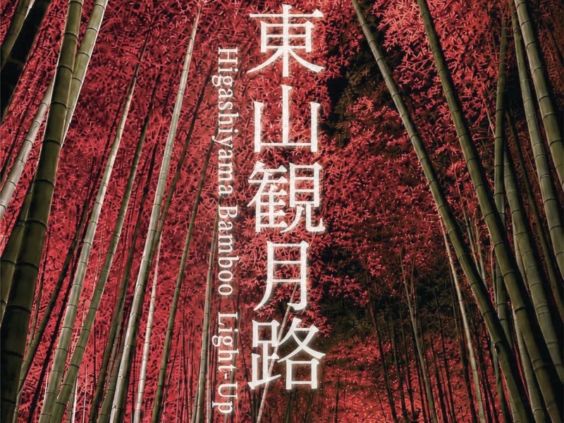 【京都の夜を満喫🌙】東山観月路を散策しながら夏の京都を楽しもう！🏮✨　29歳以下限定(一部除く)