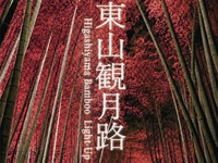 【京都の夜を満喫🌙】東山観月路を散策しながら夏の京都を楽しもう！🏮✨　29歳以下限定(一部除く)