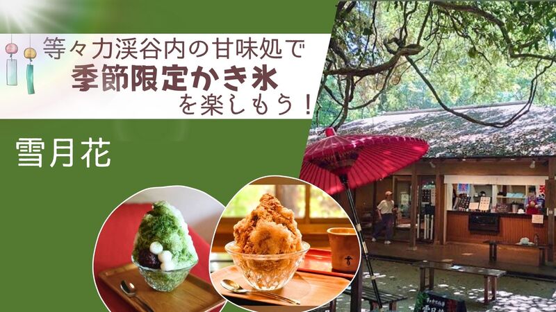 🌻【女性主催】休日は激込み☄の【等々力渓谷】内の甘味処で【季節限定かき氷🍧】を食べよう！