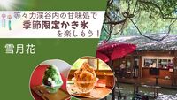🌻【女性主催】休日は激込み☄の【等々力渓谷】内の甘味処で【季節限定かき氷🍧】を食べよう！
