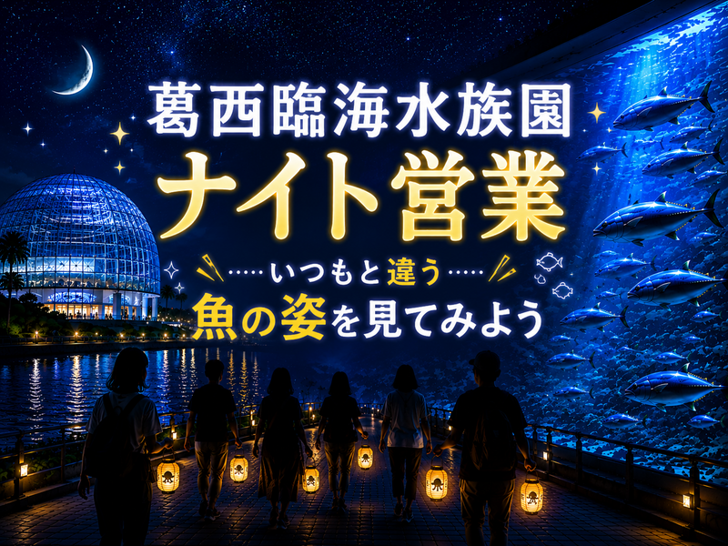 【🔰初参加大歓迎】水族館で夕涼み🎐葛西臨海水族園ナイトツアー【特別回】